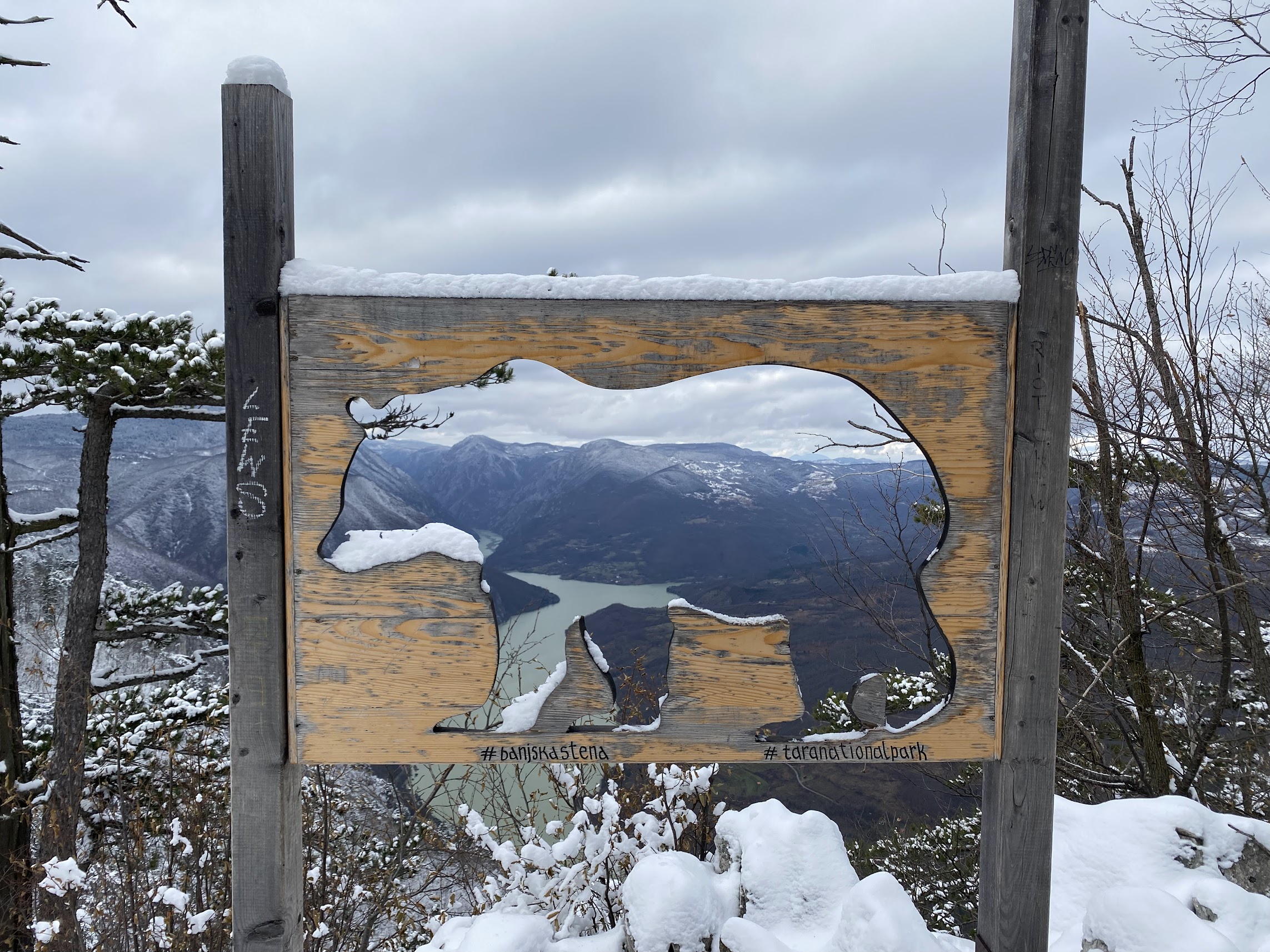 Tara Mountain, Serbia: A Complete Travel Guide to Wild Nature, Viewpoints, and National Park Adventures